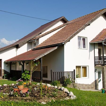 Casa Elena ξενώνας Μπραν Εξωτερικό φωτογραφία