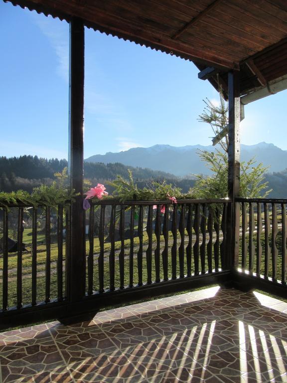 Casa Elena ξενώνας Μπραν Εξωτερικό φωτογραφία