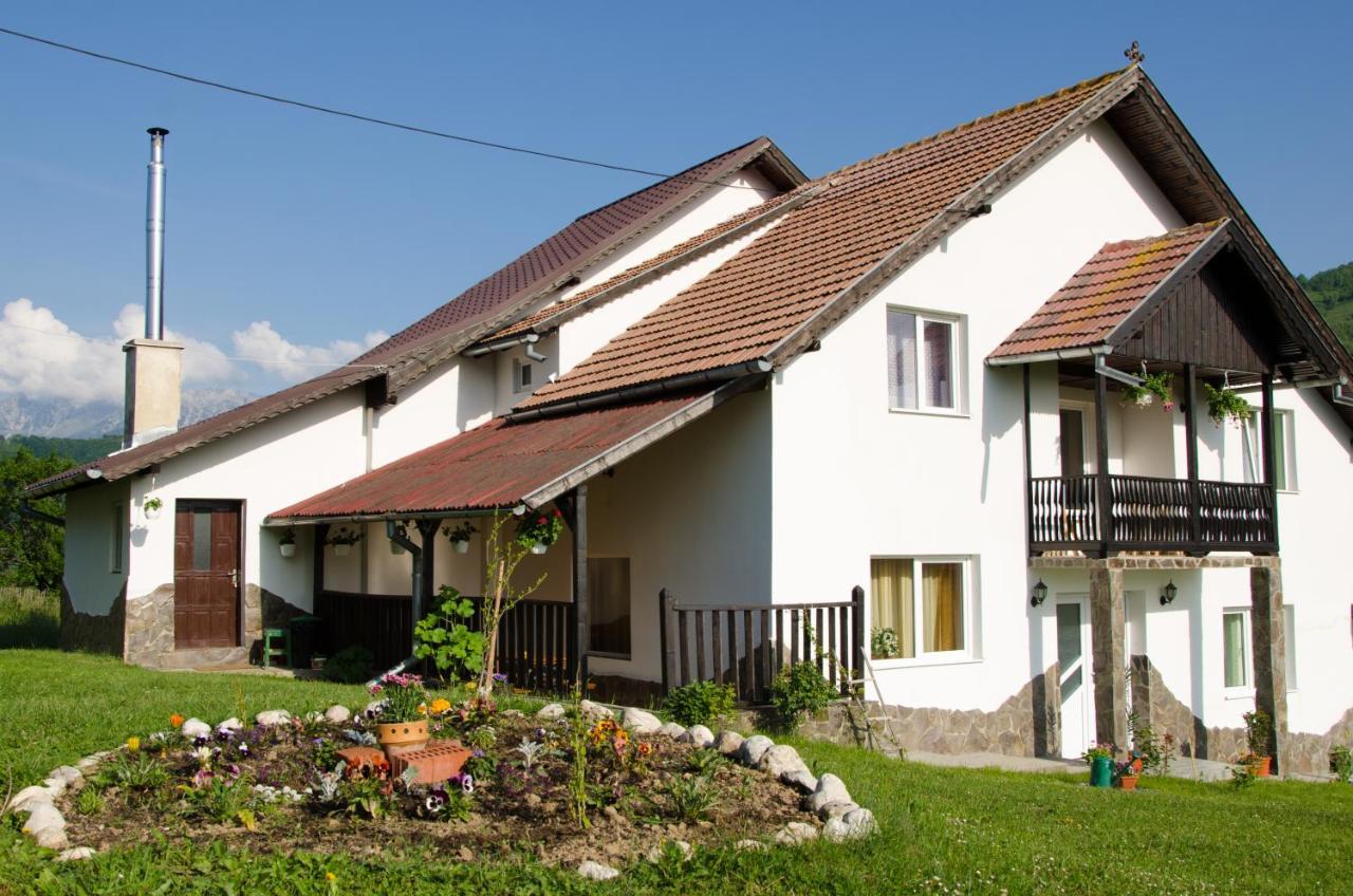 Casa Elena ξενώνας Μπραν Εξωτερικό φωτογραφία
